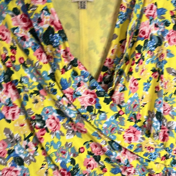 Lindy Bop Garden Party swing dress - Picture 7 of 16